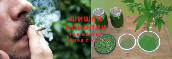 кокс Ельня