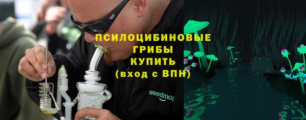 герыч Туринск