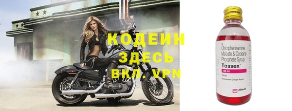 СК Новозыбков