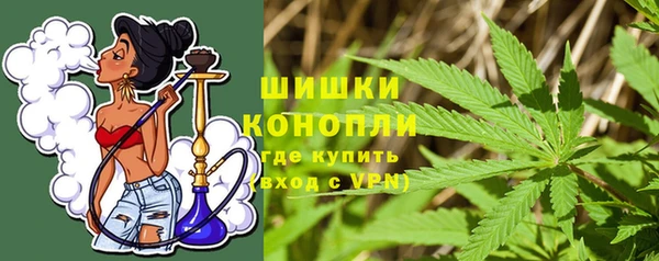 шишки Нея