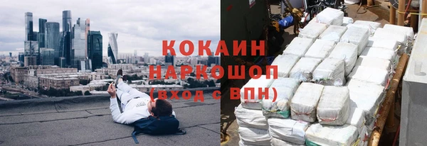 СК Новозыбков