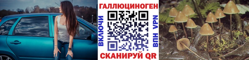 Галлюциногенные грибы MAGIC MUSHROOMS  даркнет сайт  Северо-Курильск 