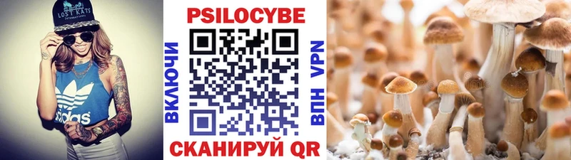 Псилоцибиновые грибы GOLDEN TEACHER Северо-Курильск